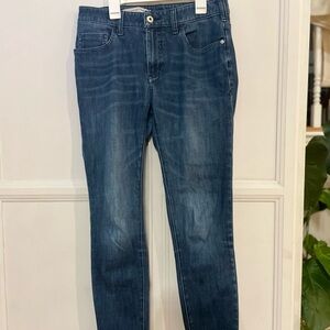 Pilcro by Anthropologie High-Rise Size 28 Curvy Jeans